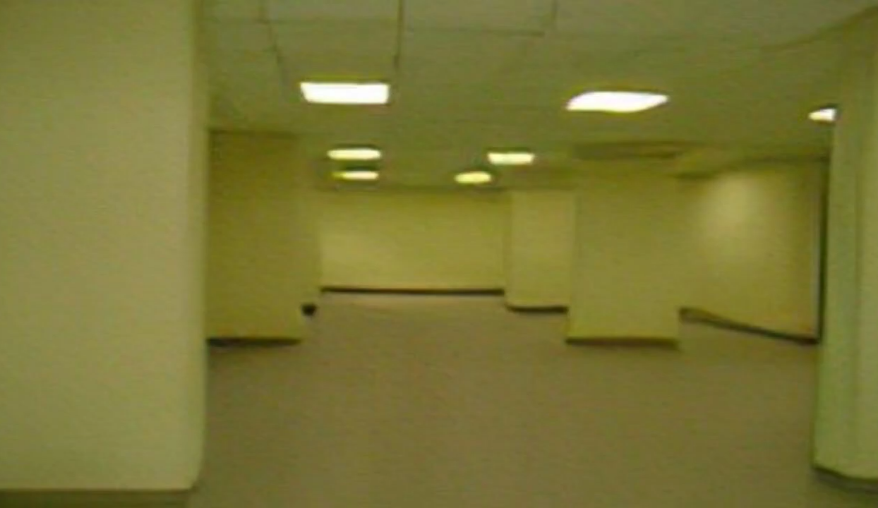 If you noclipped into this hallway, what would you watch on TV? :  r/backrooms