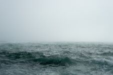 Level 7 "深海恐惧症"