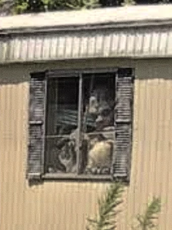 TheThingOnLevelAlpha