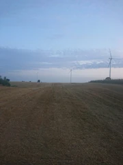 The first image of level 1105 which was taken from a stack of hay bales