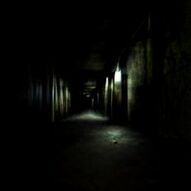 backrooms #level94 #scary #horror #entity #daytime #nighttime #surviv