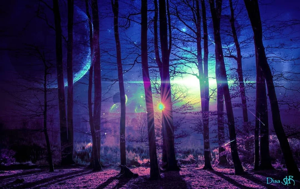 This image is an artist representation of Level 206. ~Artist, explorer D.S