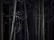 The Border between Heaven and Hell