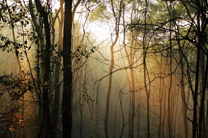 Level 1060（5）.webp