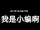小编带你看世界