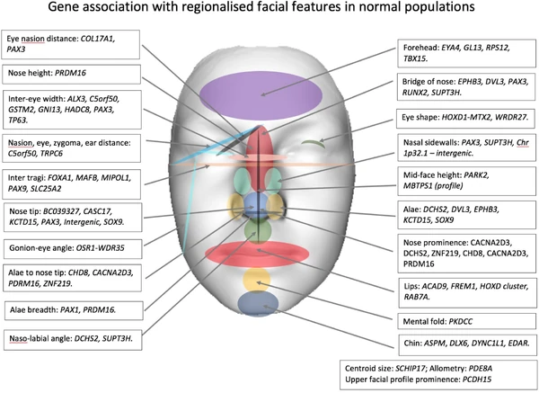 Legit research paper