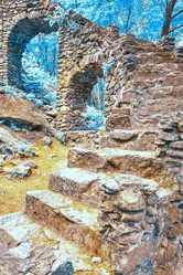 This photo, taken by Dr.O.P