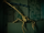 Entity 35