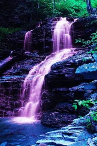Location of the Purple (fall) guided meditation on Level 138. Image taken by Dr. Astrid F. Nightingale.