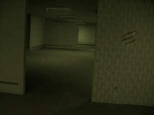 Backrooms level 3495 (Deadzone) 