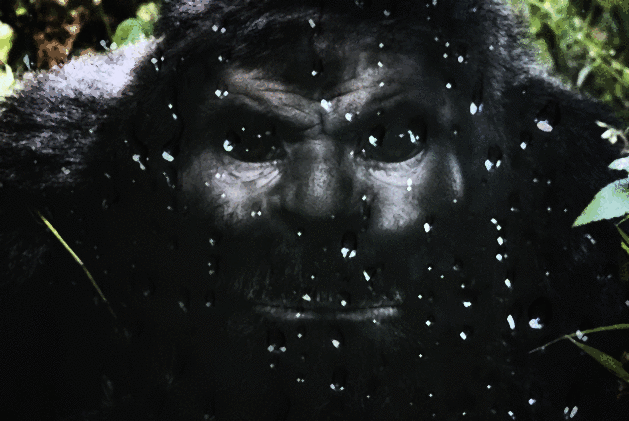 Ravager Apes | Backrooms Wiki | Fandom