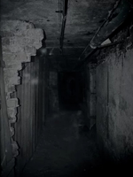 Level 2 "管道噩梦"