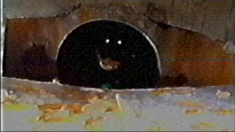 Entities Backrooms Wiki Fandom - entities backrooms wiki fandom face room roblox speeding giant wall face room code Entities Backrooms Wiki Fandom - face room roblox speeding giant wall face room code