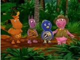 El Corazón de la Selva