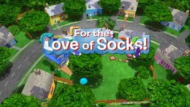 For the Love of Socks!