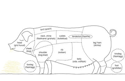 Cuts-of-bacon diagram