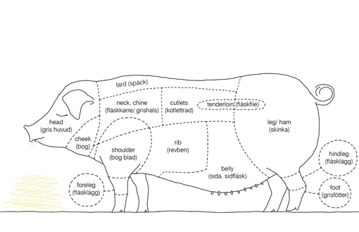 Cuts Of Bacon Bacon Wiki Fandom