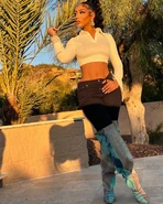 Tommie Lee | Baddies Wiki | Fandom