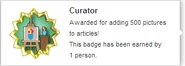 Hover text for earning "Curator"