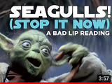 Yoda and the seagulls discount