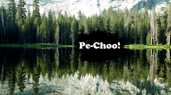 Pe-Choo!