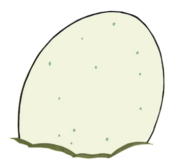 Egg  