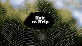 Hair to Help