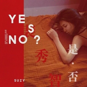 YesNoAlbum