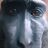 Ahmet Alperen AKSÖZ's avatar