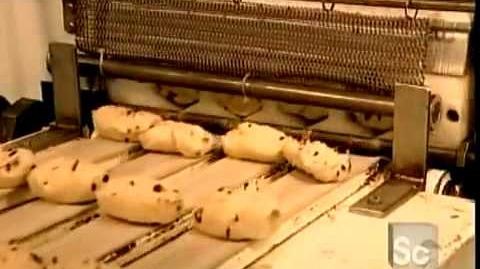 How It's Made Bagels