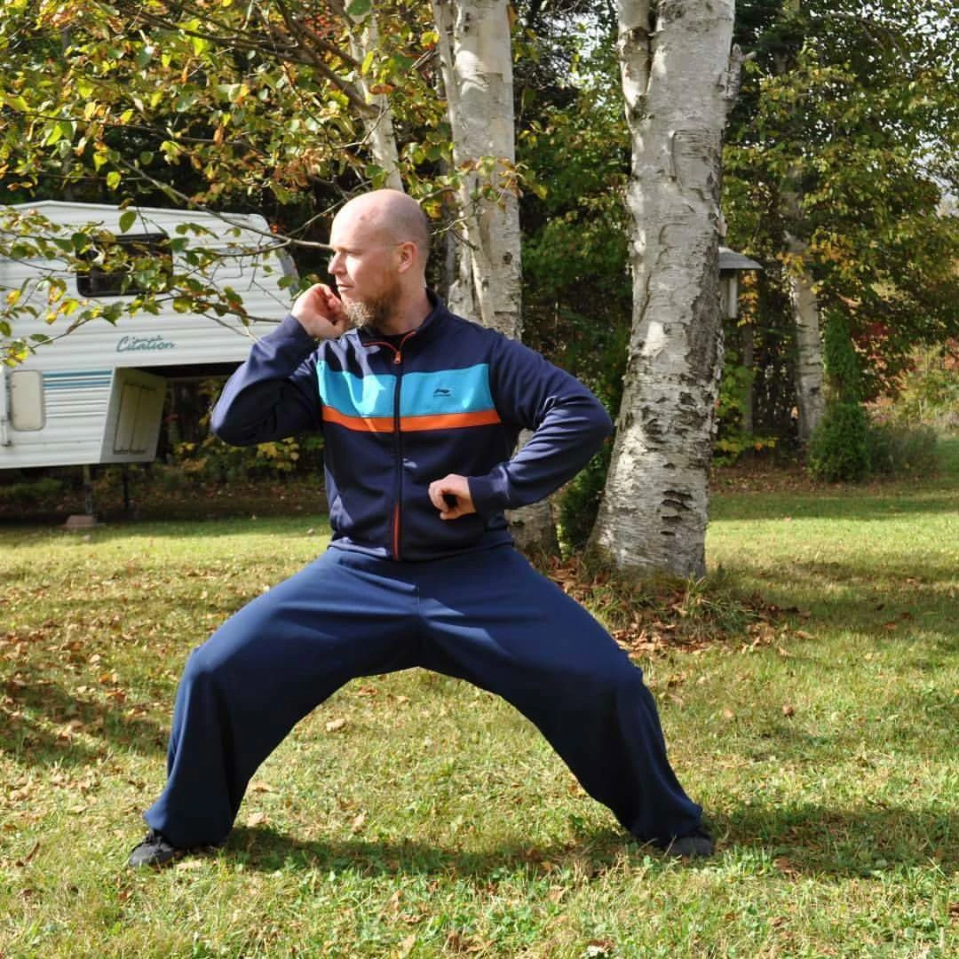 liang yi zhuang 两仪桩 | bajiquan wikia | fandom