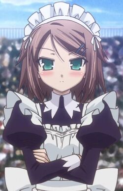 Yuuko Kinoshita | Baka to Test to Shoukanjuu Wiki | Fandom