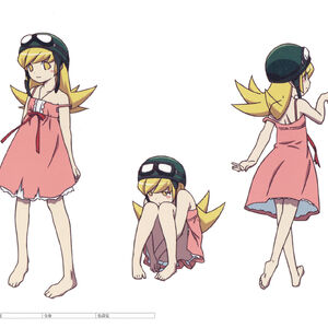 Shinobu Oshino Bakemonogatari Wiki Fandom Find and save oshino shinobu memes | from instagram, facebook, tumblr, twitter & more. shinobu oshino bakemonogatari wiki