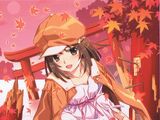 Renai Circulation