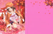 CD Cover