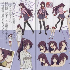 Hitagi Senjougahara Bakemonogatari Wiki Fandom Хитаги сэндзёгахара / hitagi senjougahara. hitagi senjougahara bakemonogatari