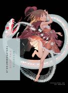 On the English cover for Otorimonogatari.