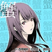 Preview of her design in the Bakemonogatari manga adaptation