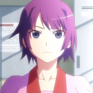 Hitagi Senjougahara Bakemonogatari Wiki Fandom The series received an anime by studio shaft that was directed by akiyuki shinbo, giving it a tangential connection to the madoka magica franchise. hitagi senjougahara bakemonogatari