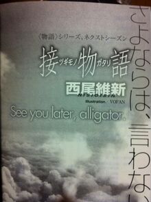 Tsugimonogatari-nisio-isin-light-novel-announcement-seventhstyle-001-614x822.jpg
