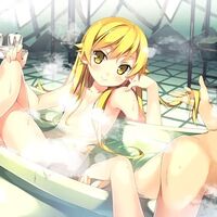 Nisemonogatari Episode 08 Tsukihi Phoenix Part 1 Bakemonogatari Wiki Fandom One of the most infamous and scandalous moments in shaft's nisemonogatari series is the toothbrush scene. nisemonogatari episode 08 tsukihi