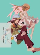 On the cover of the English version of Owarimonogatari Vol 2.
