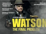 Watson: The Final Problem