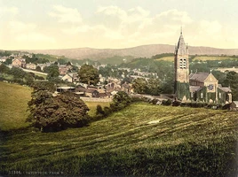 Tavistock