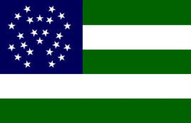 Nypd flag