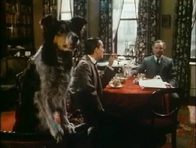 Toby (Granada Television series)