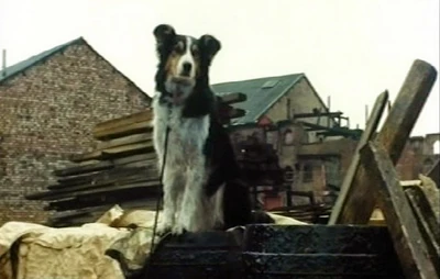 Toby (Granada Television series)