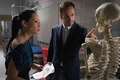 Elementary: Season Four