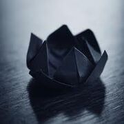 Paper Black Lotus