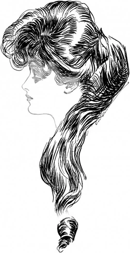 Charles-dana-gibson51